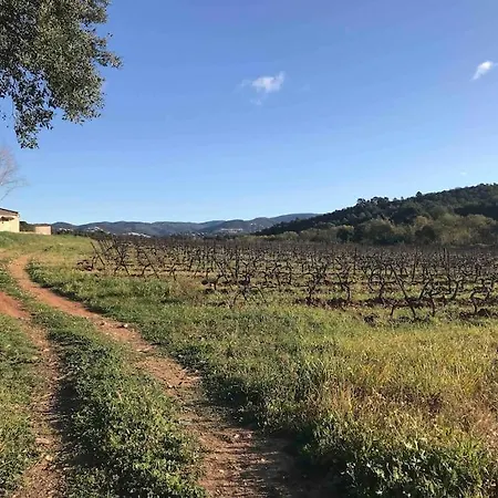 Neuf, Climatise, Piscine, Terrasse Lejlighed La Londe-les-Maures